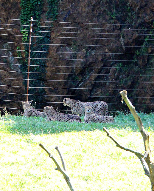 Parque de la Naturaleza de Cabárceno