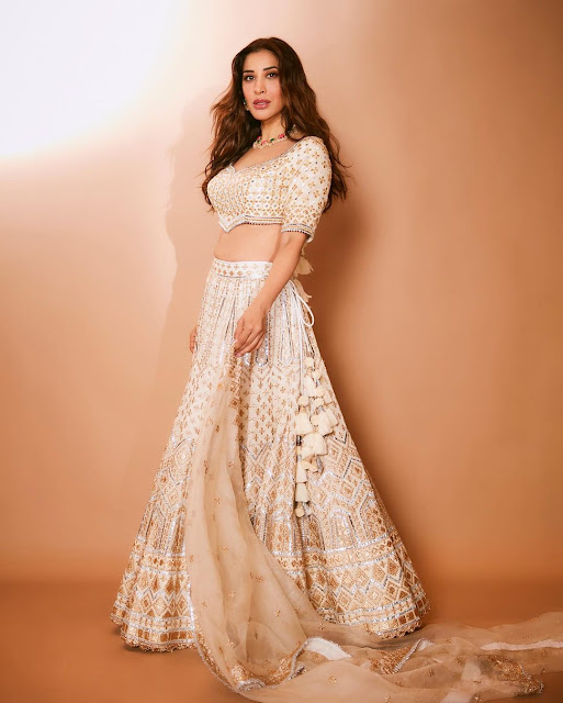 Sophie Choudry,Sophie Choudry actress,