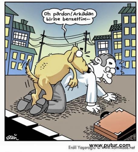 Dünyanın En Komik Karikatürü, Türkiyenin En Komik karikatürü