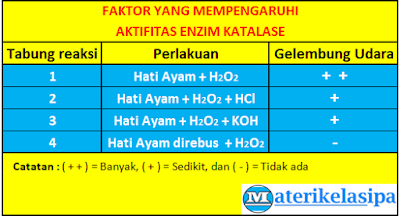 Tabel Percobaan Faktor yang Mempengaruhi Aktifitas Enzim Katalase