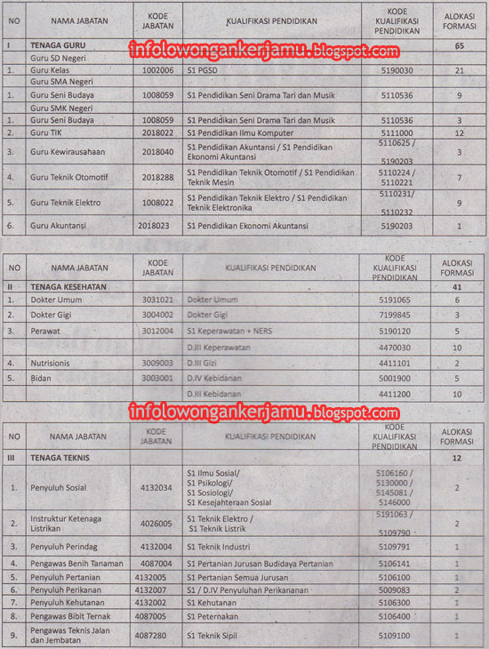 Formasi Calon Pegawai Negeri Sipil (CPNS) Ogan Ilir Tahun 2013