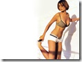Catherine Bell 1024x768 free computer wallpaper