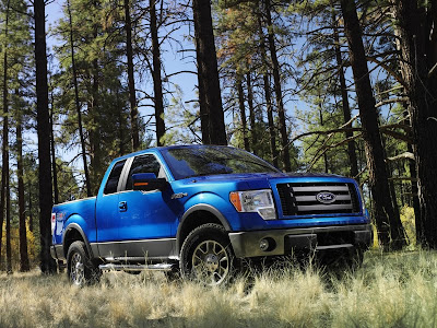 2009 Ford F-150 FX4