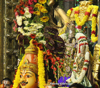 Vaikunta, Ekadesi,Paramapatha Vasal,Dharisanam, Sri PArthasarathy Perumal, Perumal, Venkata Krishna , Varushotsavam, 2017, Video, Divya Prabhandam,Triplicane,Thiruvallikeni,Utsavam,