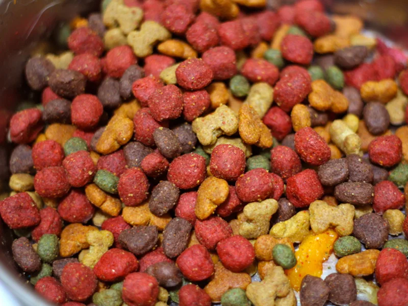 17 Things You Should Know about Your Pet's Food