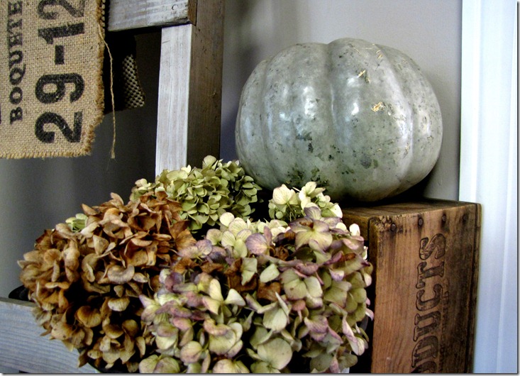 green pumpkin 2