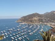 (perhaps for a swing dance fete at the Casino!)! Welcome to Catalina Island! (catalina )