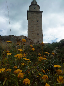 Flower and Tower   Sprint in Tower of Hercules (Corunna, Spain)   by E.V.Pita   http://evpita.blogspot.com/2011/05/flower-and-tower-flores-torre-de.html   Flores + Torre de Hércules  (Primavera en Torre de Hércules, A Coruña)  por E.V.Pita