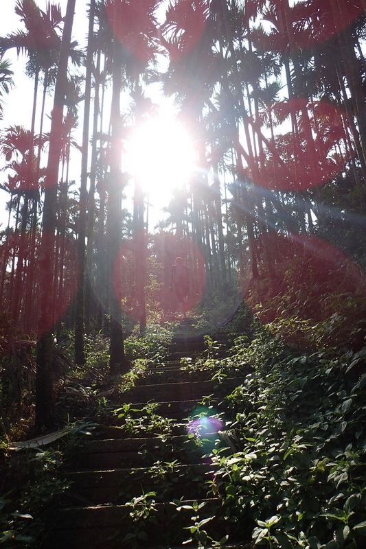 2014_1012 半天古道上梅山36彎出梅圳國小O走_013