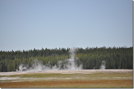 Yellowstone NP & Grizzly & Wolf Ctr 035
