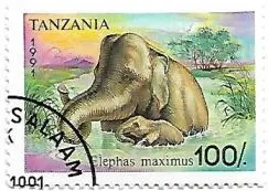 Selo Elefante asiático