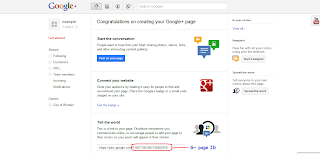 example of google+ pages