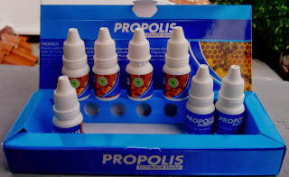 manfaat propolis