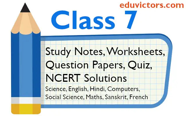 cbse papers questions answers mcq class 7