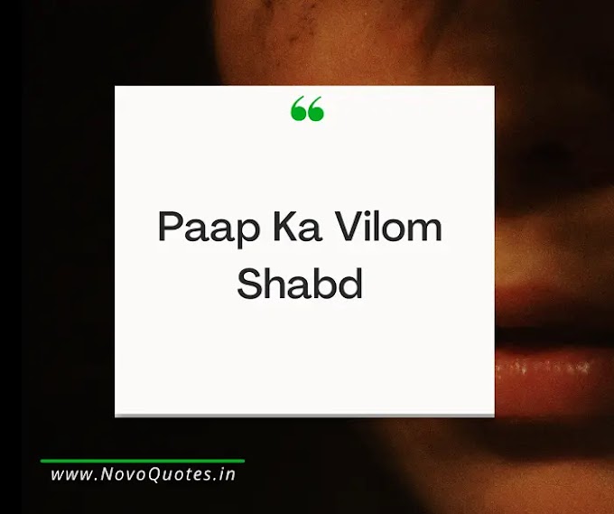 पाप का विलोम शब्द - Paap Ka Vilom Shabd