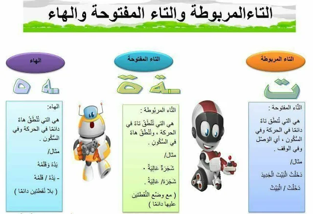 دروس اللغة العربية التاء المفتوحة والتاء المربوطة والهاء