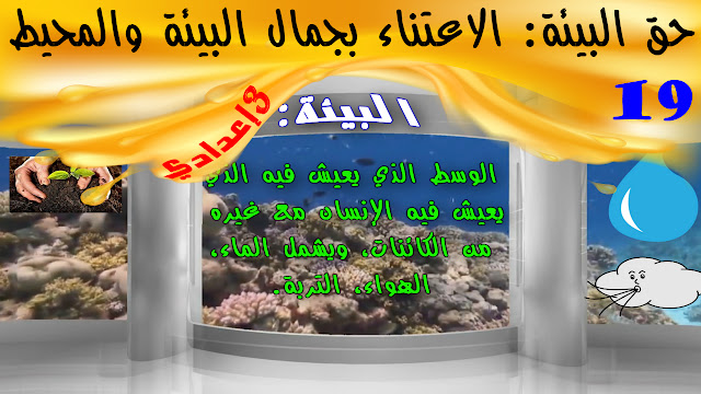 حق البيئة