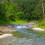 View album