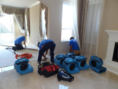 Emergency Carpet Cleaning Melbourne