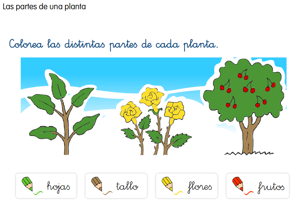 http://primerodecarlos.com/primerodecarlos.blogspot.com/febrero/partes_plantas.swf