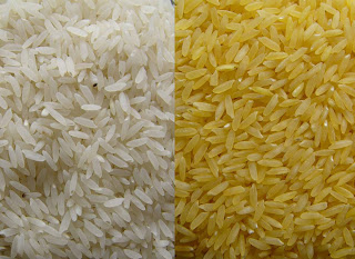 Resultado de imagen de arroz dorado