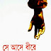 Se Ashe Dhire By Humayun Ahmed