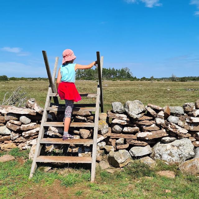 Schweden-Urlaub: 3 Touren mit Ausflügen auf der schwedischen Insel Öland mit Kindern. Teil 1: Die Mitte und der Süden von Öland. Die Wanderung bzw. der spaziergang im Stora Alvar hat unseren Kindern gut gefallen. Wir haben hier eine einfache Route gewählt, die uns als Familie die einzigartige Landschaft wunderschön gezeigt hat.