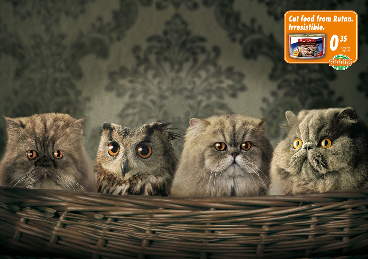 funny animal ads