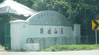 entrance to Orchidville