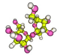 What Are Glyconutrients