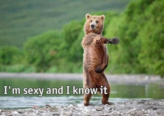 i am Sexy and i know it,Funny Pictures of a bear