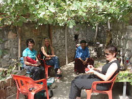 Under the vines after the clean up