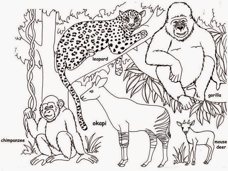 Sketsa mewarnai gambar kebun binatang Dunia Putra Putri