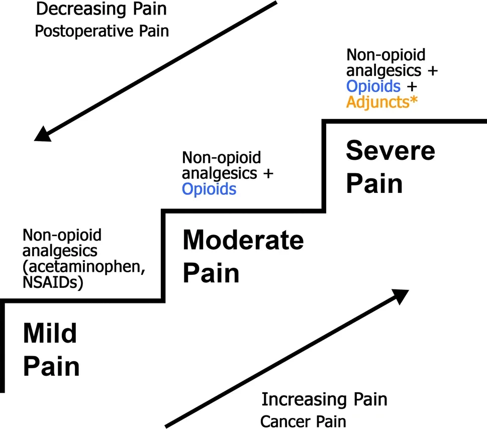 The World Health Organization (WHO) pain ladder modified for Acute Pain Management. a Adjuncts include non-opioid analgesics such as ketamine, lidocaine, and gabapentinoids