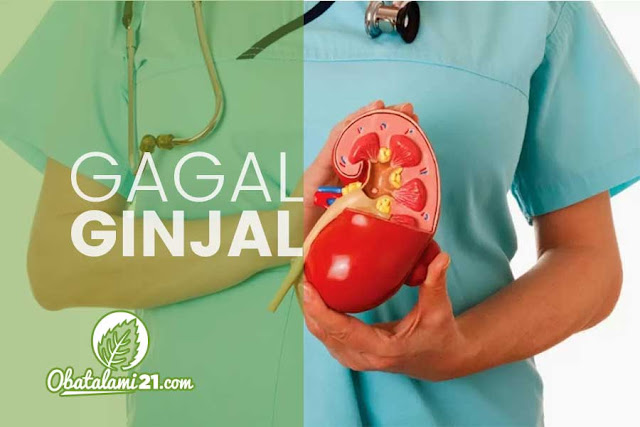 Obat Alami Penyakit Gagal Ginjal Tanpa Cuci darah