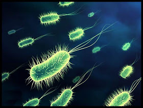 Some bacteria becoming resistant to antibiotics, healthnews, health