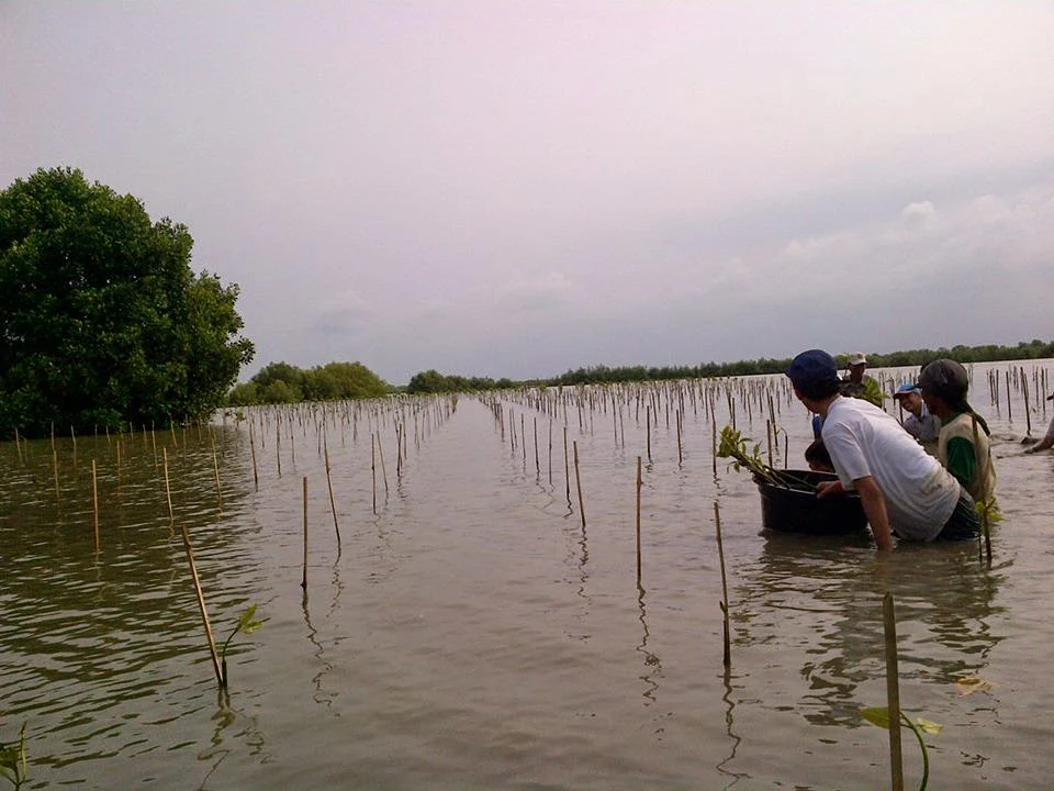 Merayakan Hari Menanam Pohon Muaragembong Bekasi