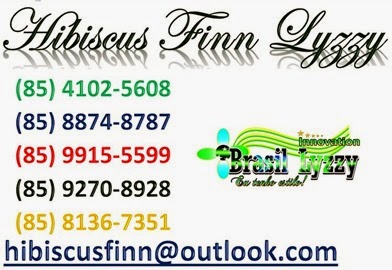 hibiscus finn lyzzy logo