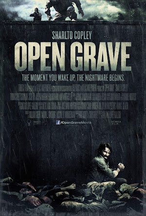 Ver Open Grave (2013) Online