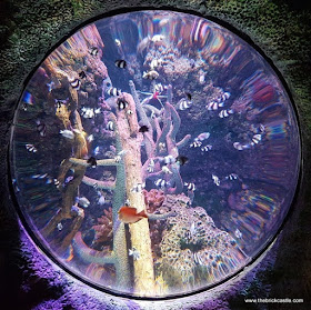 Fish Eye Lens Sealife Manchester