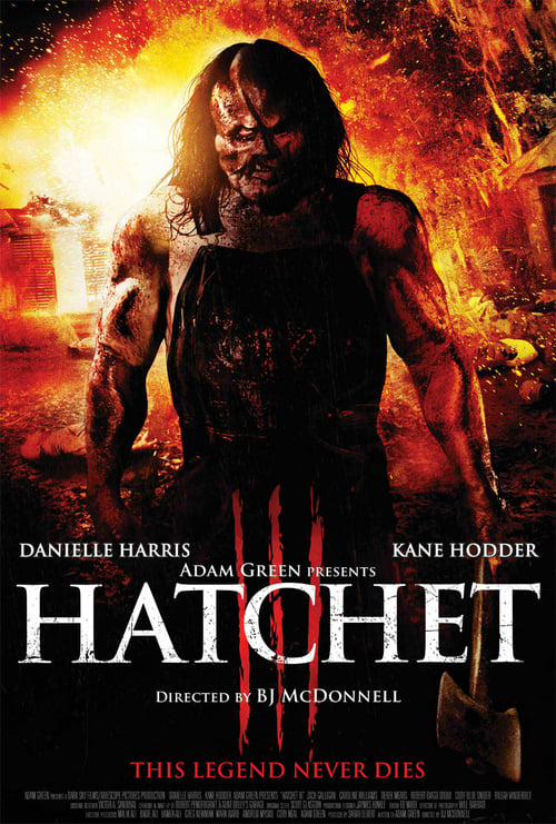 Ver Hatchet III 2013 Online Audio Latino