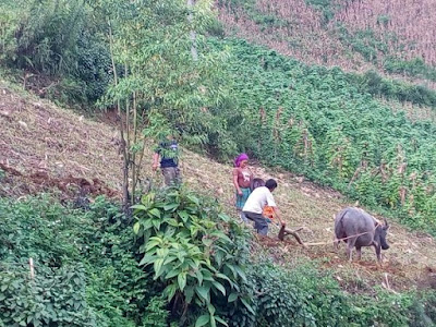 Bac Ha, Lao Cai, Vietnam