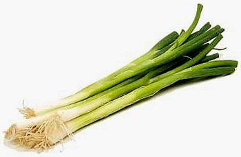 Spring Onion