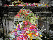 Bali Map & Flowers Shadowbox (dscn )