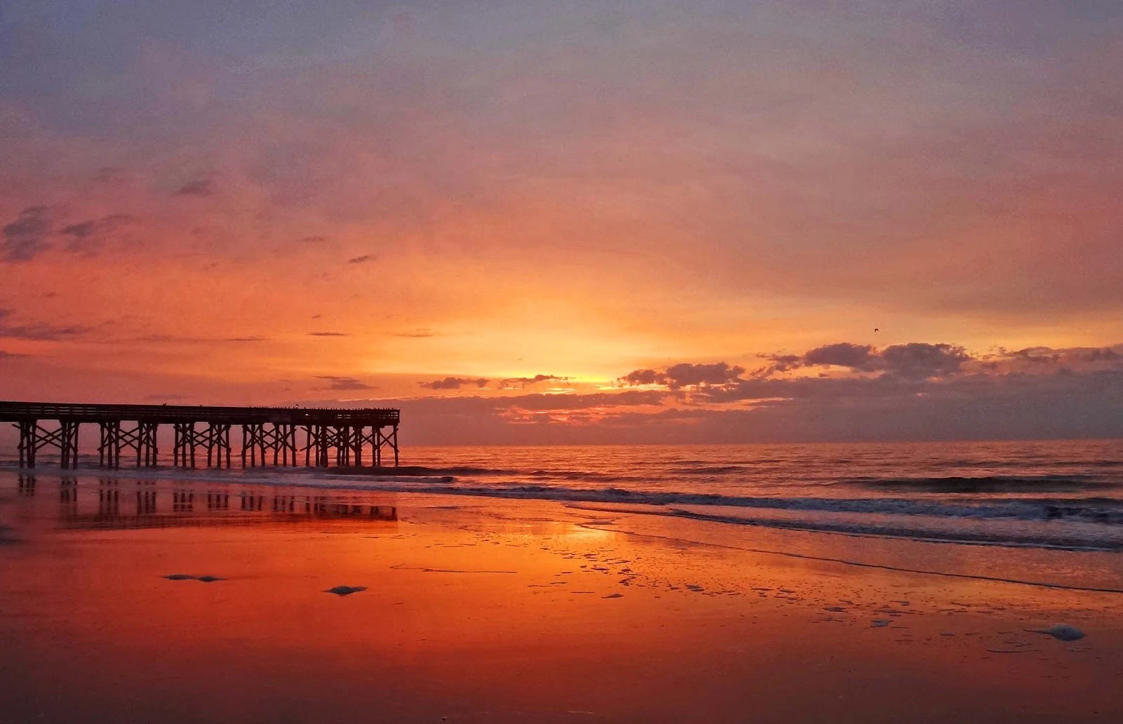 South Carolina beaches are the best family beaches on the East Coast