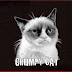 Funny Pictures 1st life VS 9th life Grumpy Cat