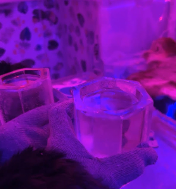 Holding cocktails in ice glasses at Minus5 Ice Bar in Las Vegas