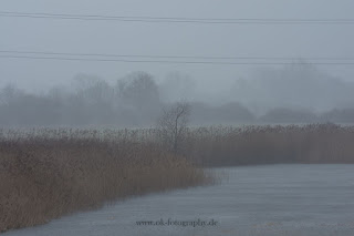 Wetterfotografie Sturmtief Orkan Zeynep Olaf Kerber