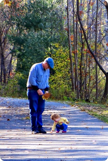 Fall Walk in MA