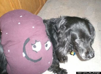 Crazy Halloween Costume for Dog Seen On www.coolpicturegallery.us